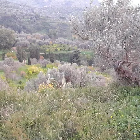 Lantställe Le Due Querce Pettineo